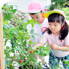 教育・保育目標の写真