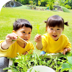 教育・保育目標の写真