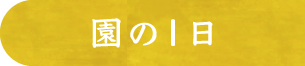 園の一日