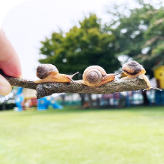 教育方針の写真