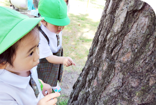 3·4·5歳児の写真